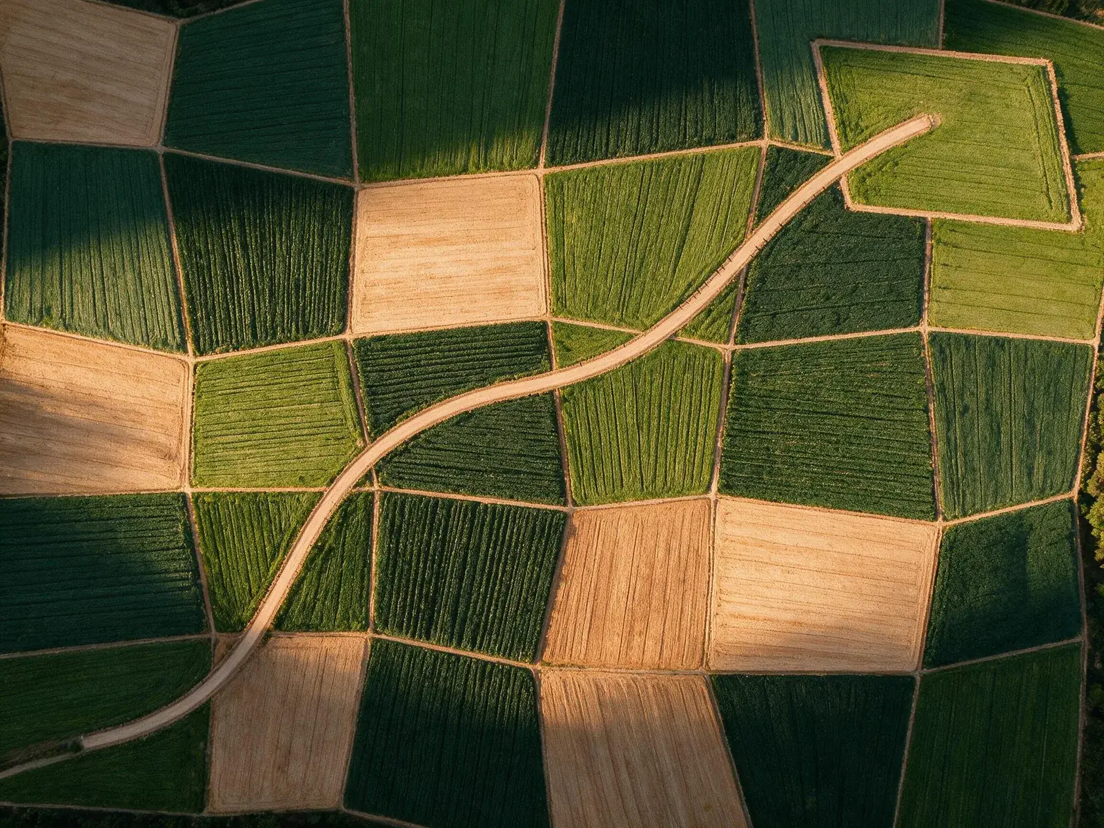 Representação do Sistema WAIB Agro conectando estratégia, posicionamento, conteúdo, páginas, mídia e CRM.